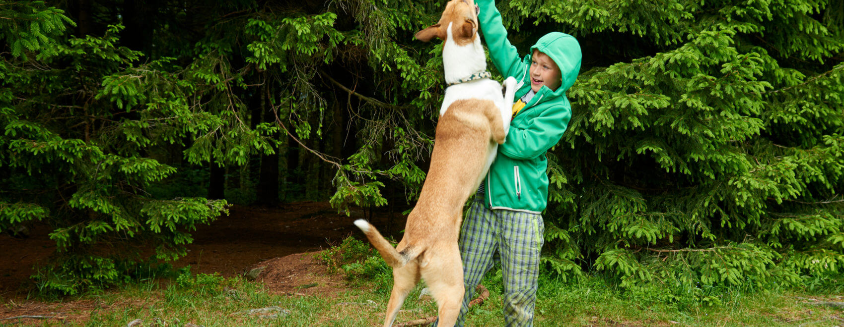 Young boy outdoors playing and throwing stick for dog in the forest